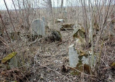 Disturbing Behaviour