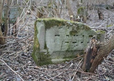 Disturbing Behaviour