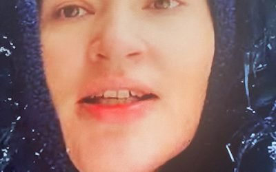 November 2024 update